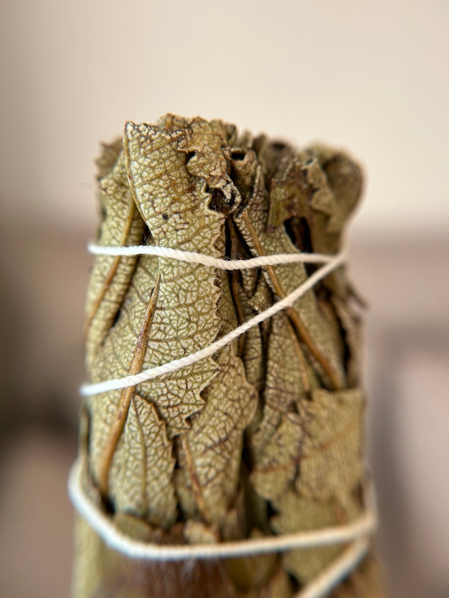 Yerba Santa Räucherbündel