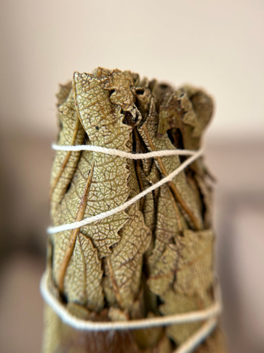 Yerba Santa Räucherbündel