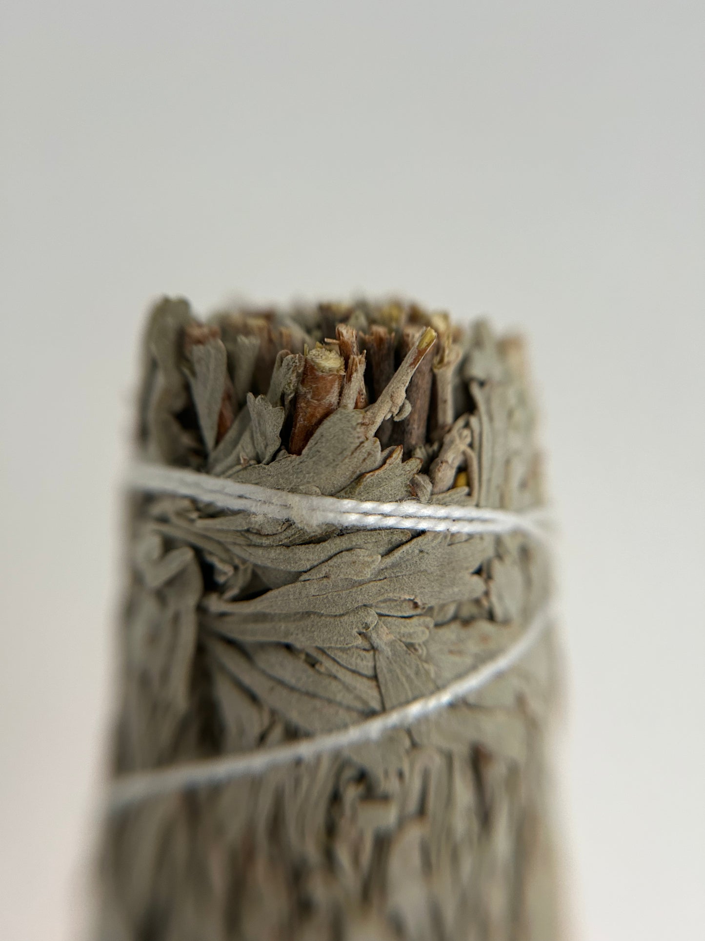 Shasta-Salbei Räucherbündel