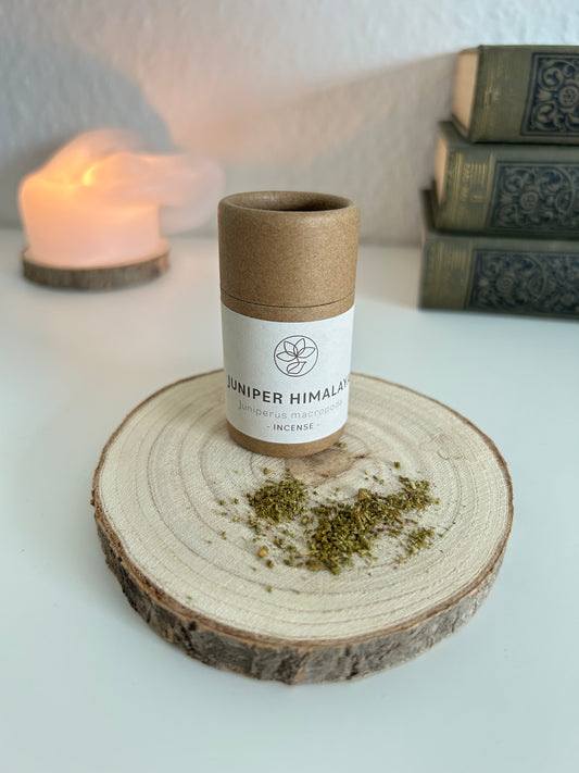 Himalaya Wacholder, lose